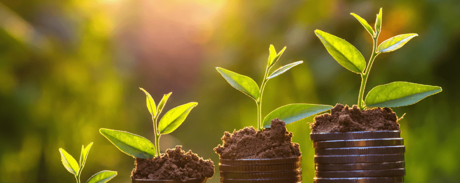 Sustentabilidade 1904760px-min.png